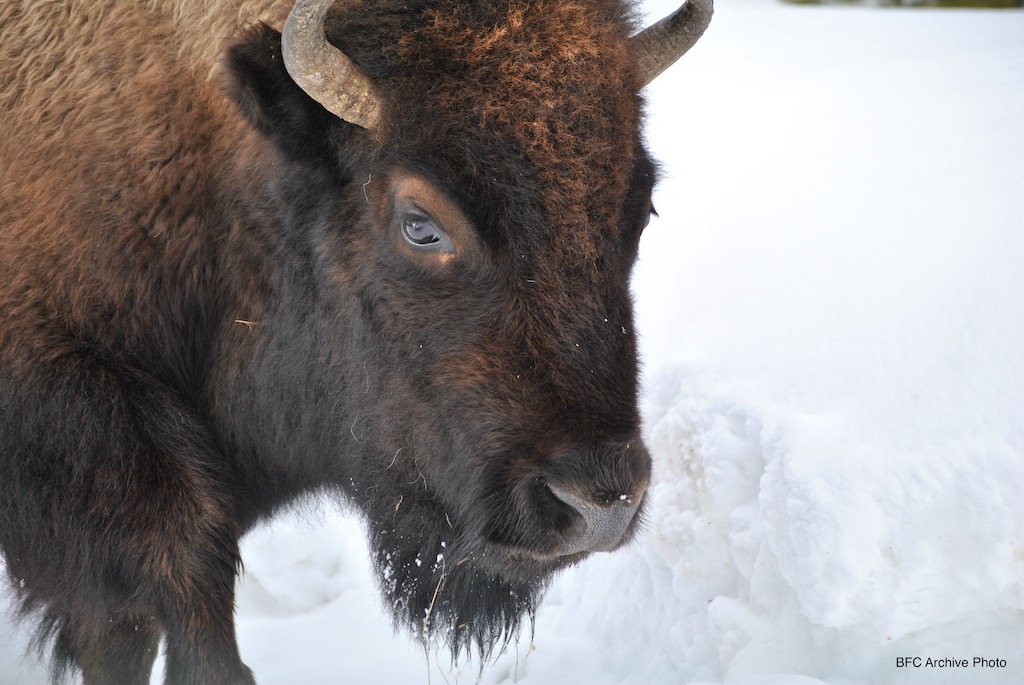 2021 10 28 01 003 Beautiful eyes