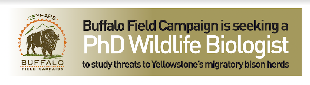 2022 01 13 01 003 pHD Biologist