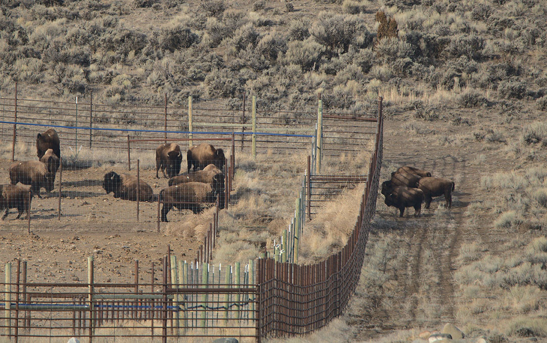 2022 03 10 01 001 quarantine gardiner