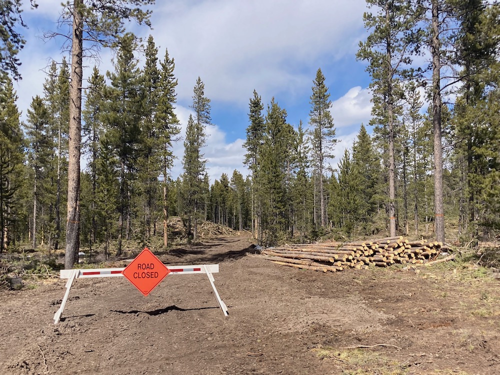 Horse Butte Logging Project