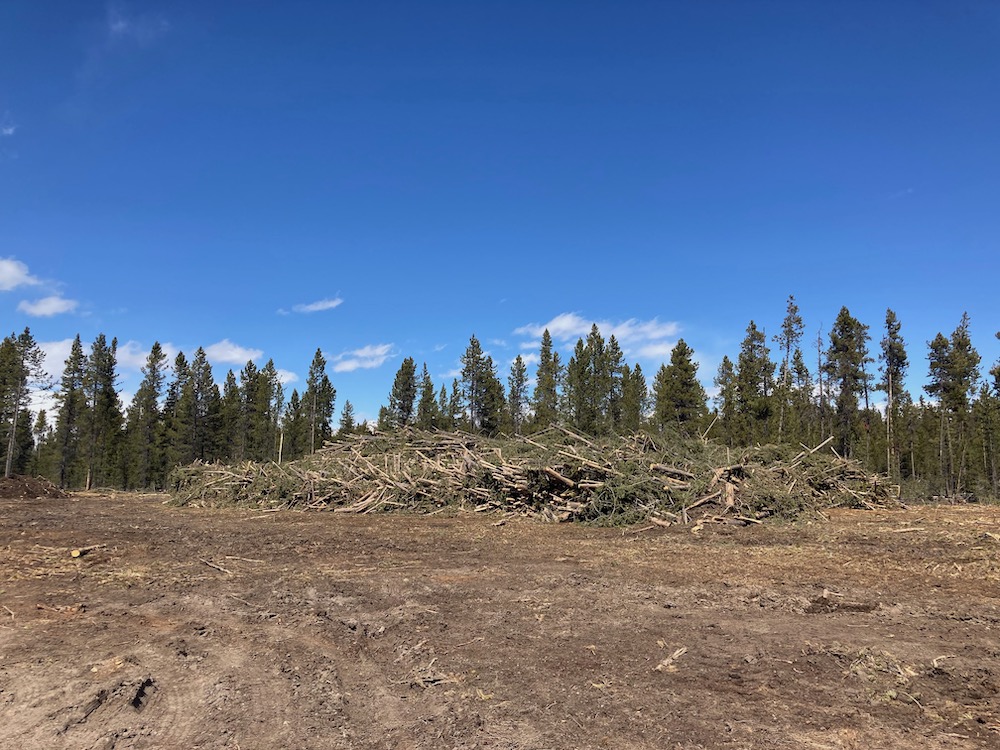 Horse Butte Logging Operation