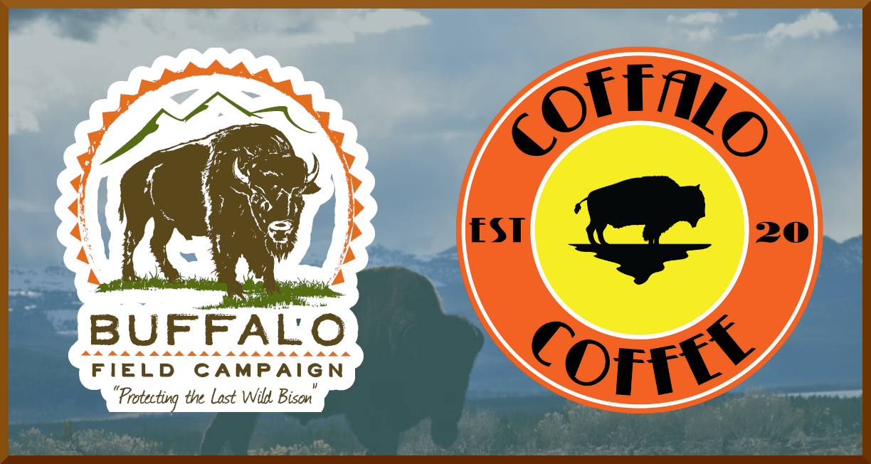 bfc coffalo banner facebook twitter 1224 652