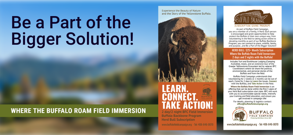 bfc excursion web banner 960 444