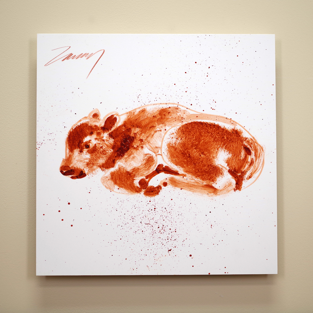 Bison Calf KZ 0723 1000