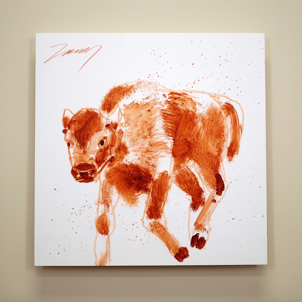 Bison Calf KZ 0726 1000