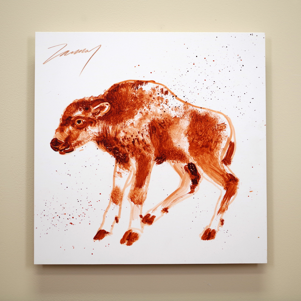 Bison Calf KZ 0727 1000