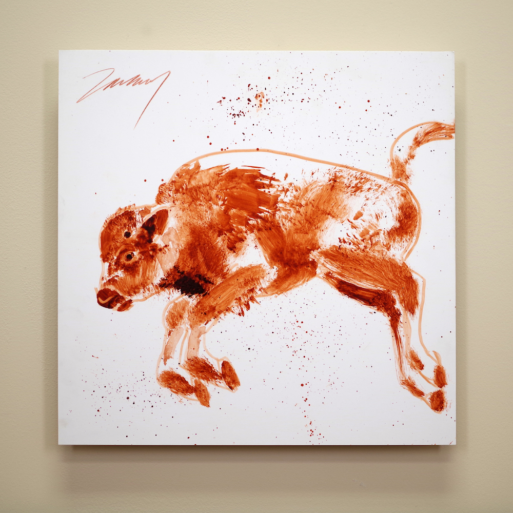 Bison Calf KZ 0728 1000