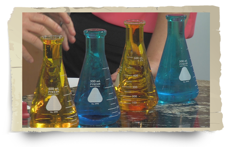 buffalo field campaign science brucellosis beakers